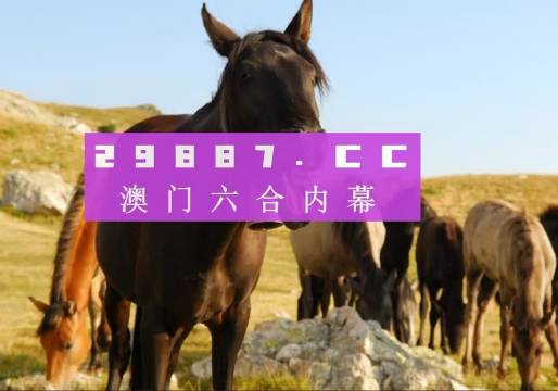 澳门管家婆一肖一码免费资料,创新解释说法_MZE9.683抓拍版
