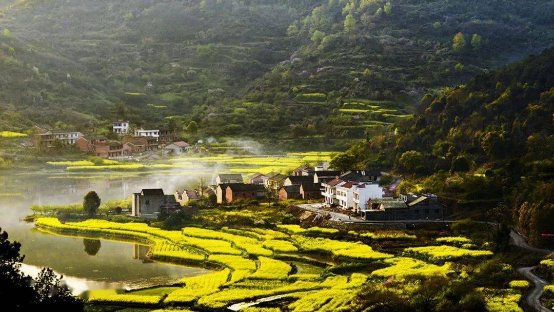 鄂州市沼山镇最新规划揭秘,规划中的温情日常