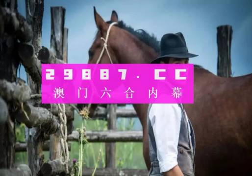 澳门一肖一码一,行动规划执行_经典版53.381