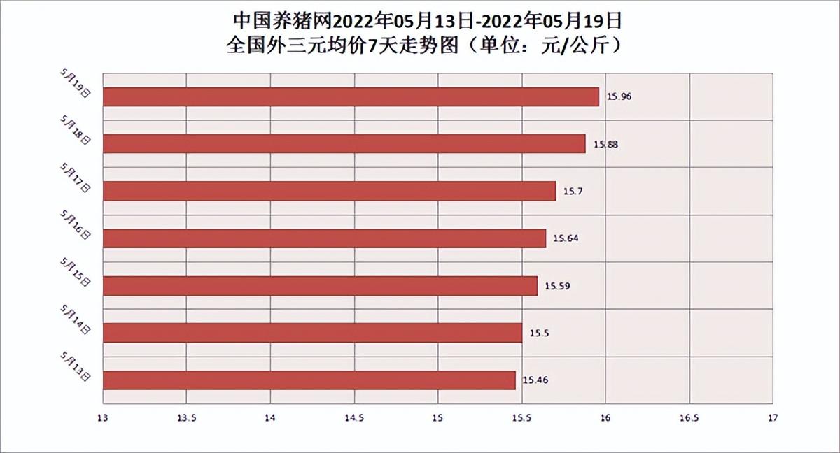 今日猪价最新预测走势与小巷深处的特色美食探秘