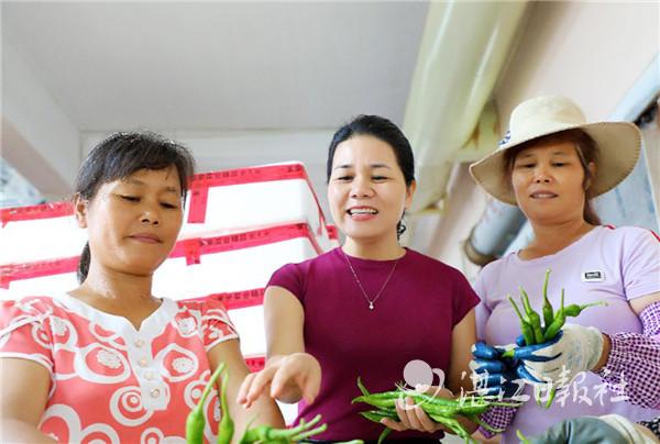 廉江市长山镇最新新闻及掌握最新资讯的步骤指南