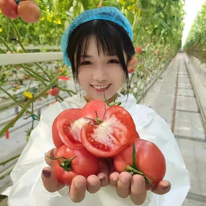 揭秘网红西红士走红原因,深度剖析其最新视频内容,热门内容一网打尽