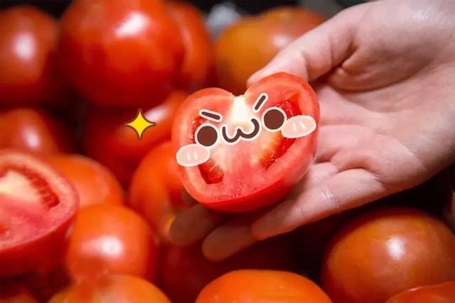 揭秘网红西红士走红原因,深度剖析其最新视频内容,热门内容一网打尽