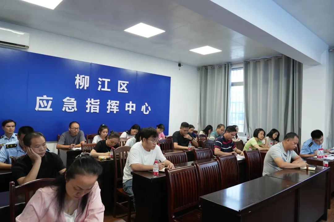 柳江区最新动态，小巷深处的独特风味揭晓