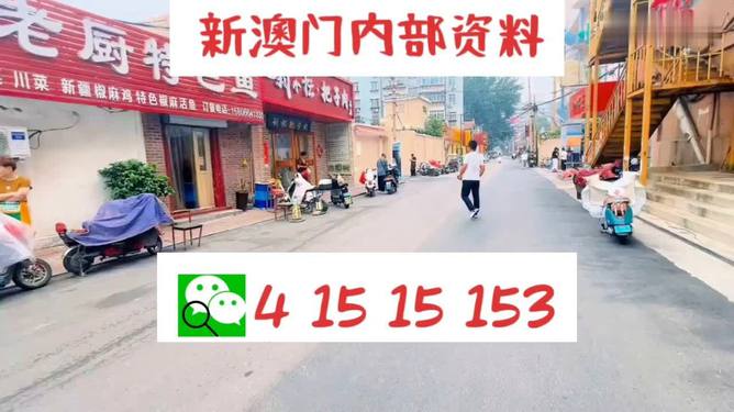 2024澳门天天开好彩资料？,解析解释说法_工具版50.377