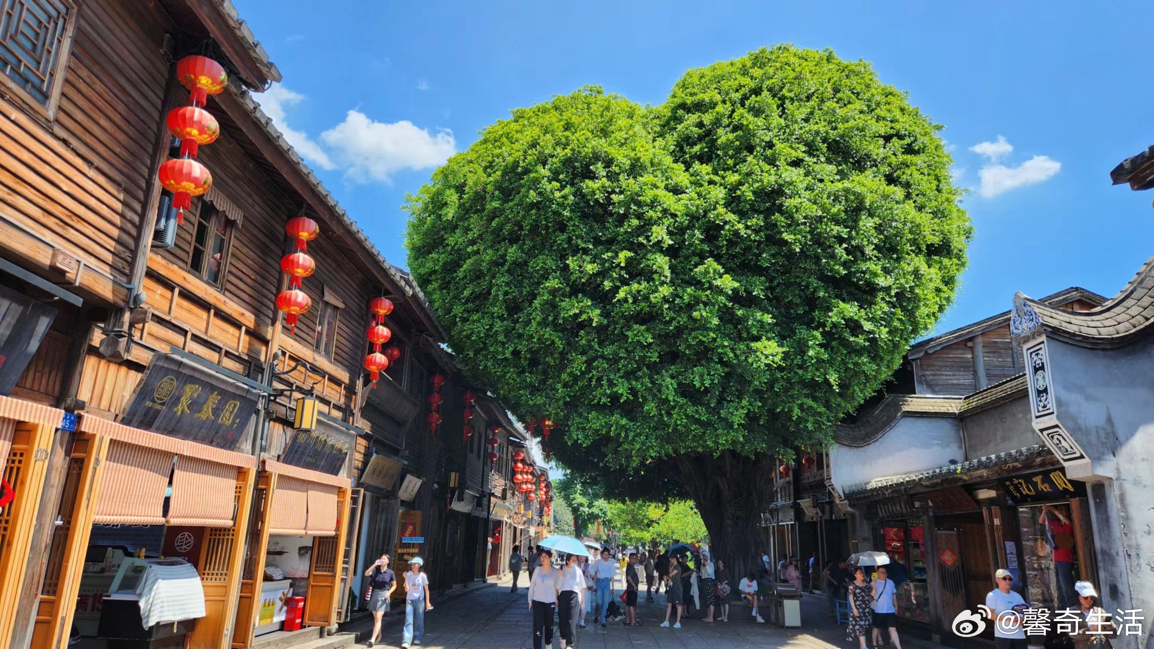 福州最新打卡热点，探索热门新景点