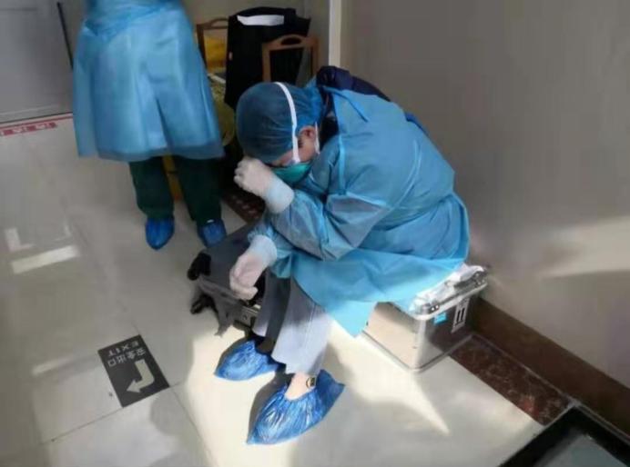 全球病毒最新疫情分析与抗击应对策略研究