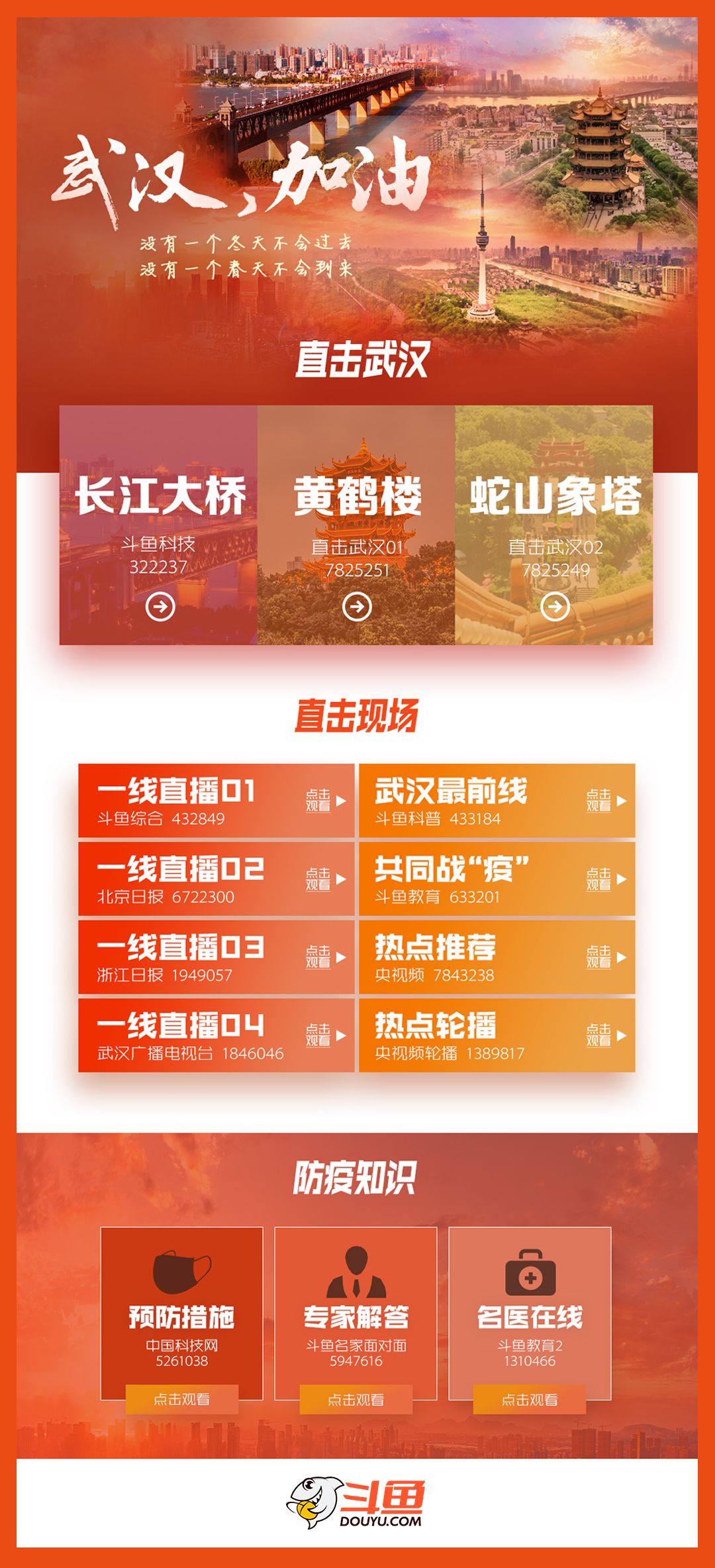 最新直播肺炎,全面观点阐述与分析