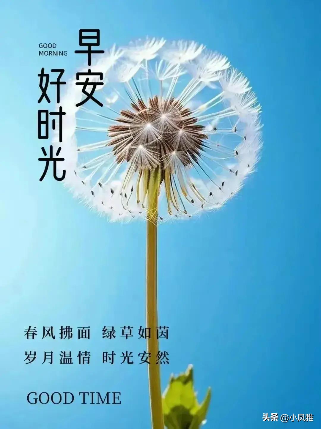 2024年天天彩资料免费大全,实地验证实施_社交版8.846