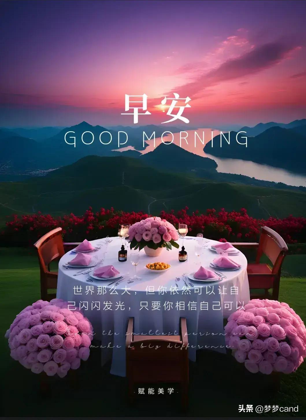 2024年天天彩资料免费大全,实地验证实施_社交版8.846