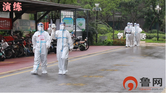 日照疫情最新动态与大自然呼唤下的绿色心灵之旅