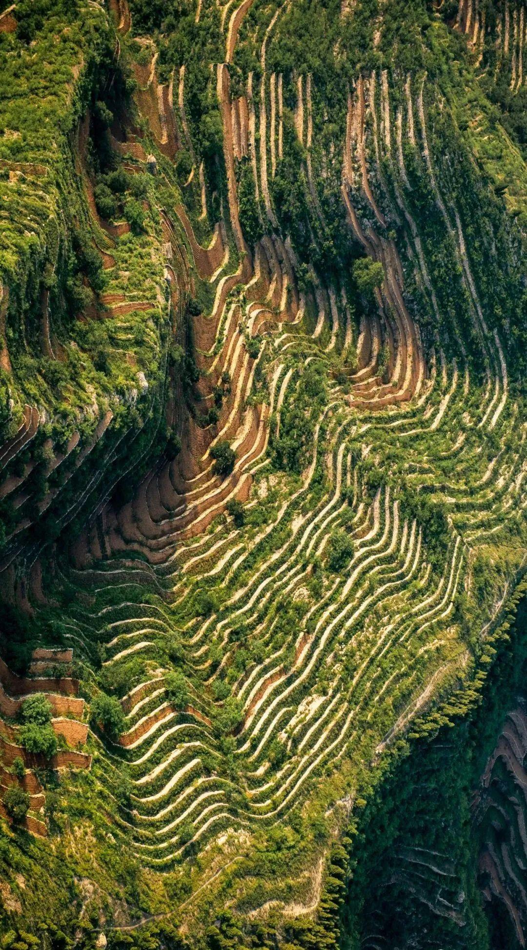 友情的小确幸,最新图片的温馨日常故事