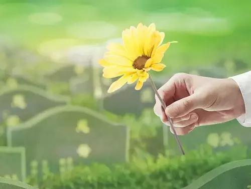 扫墓新规定下的独特小巷之旅,探访特色小店之旅