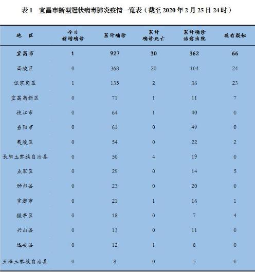 宜昌肺炎最新动态,小巷深处的特色小店揭秘