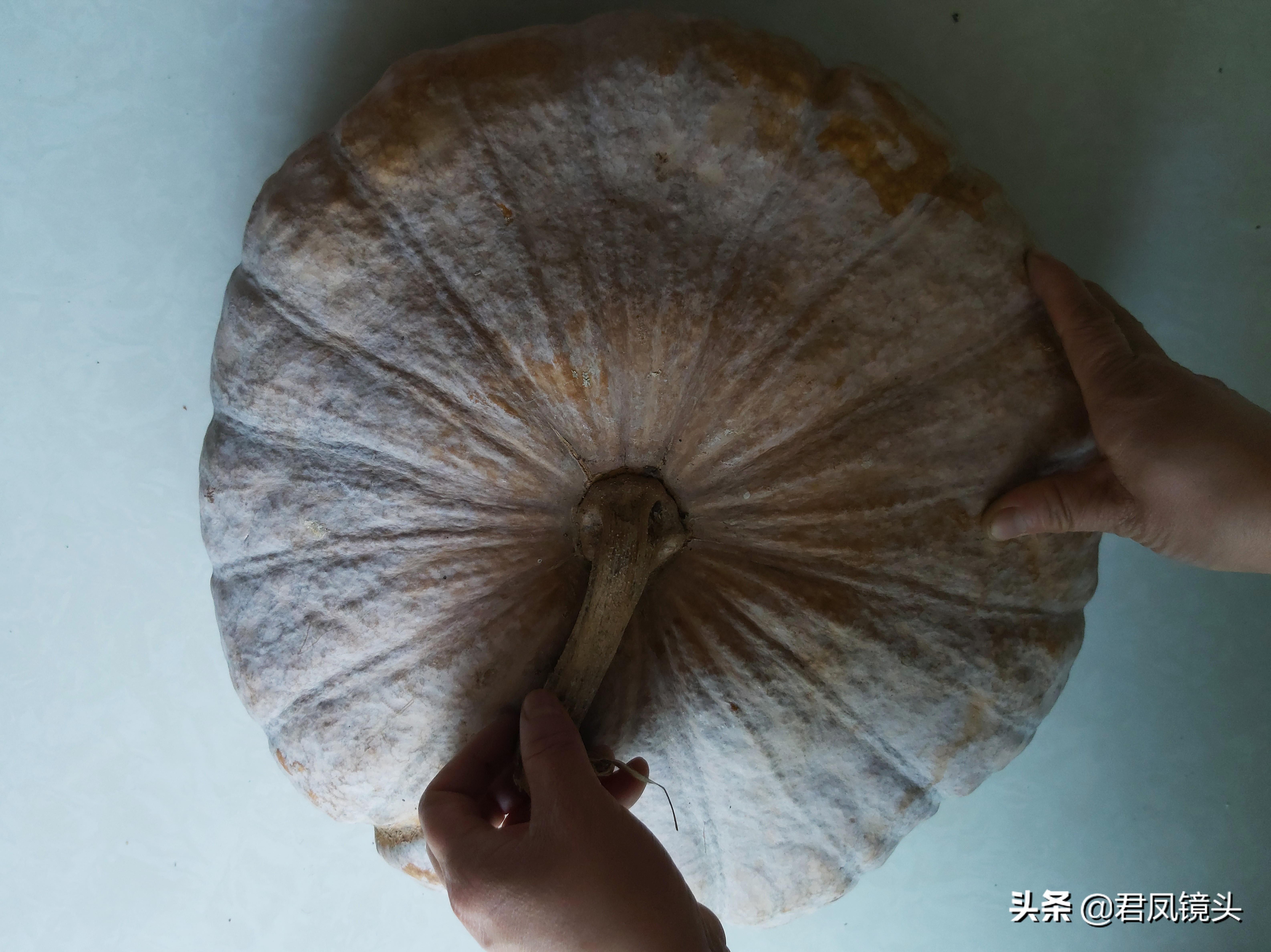 宜昌肺炎最新动态,小巷深处的特色小店揭秘