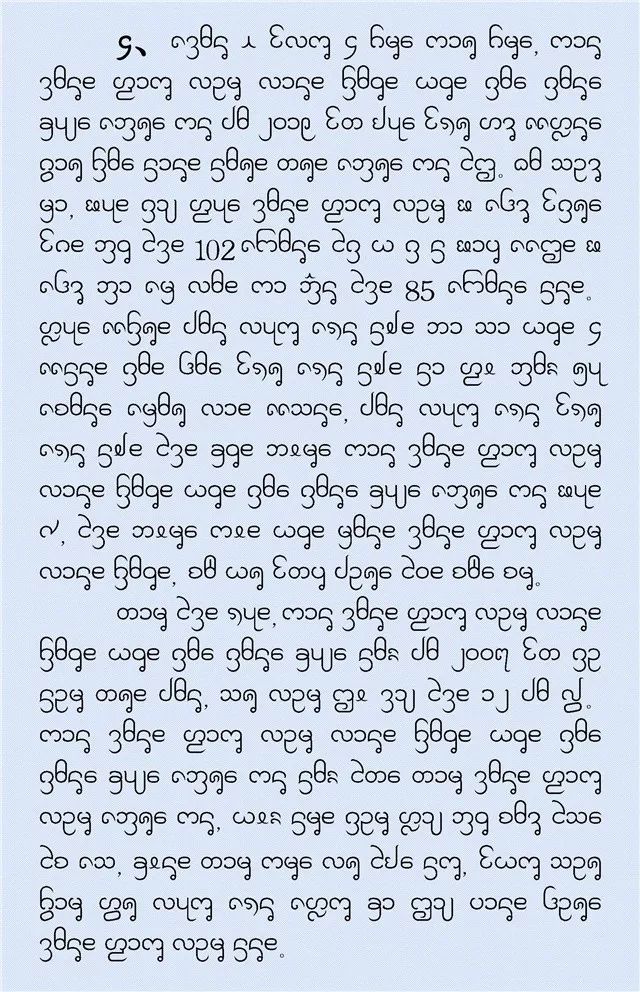 最新傣语科技产品介绍与概述