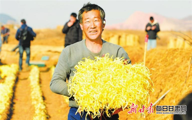 捕捉时代热点焦点,新闻最新鲜速递