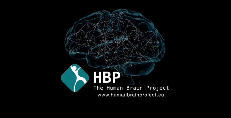 揭秘类脑计算机最新进展,未来计算的新方向探索