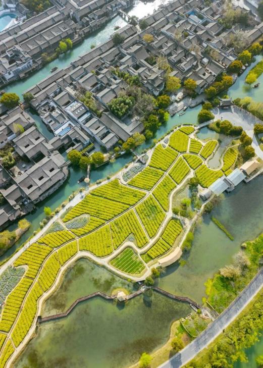 中国电信最新发展动态深度解析