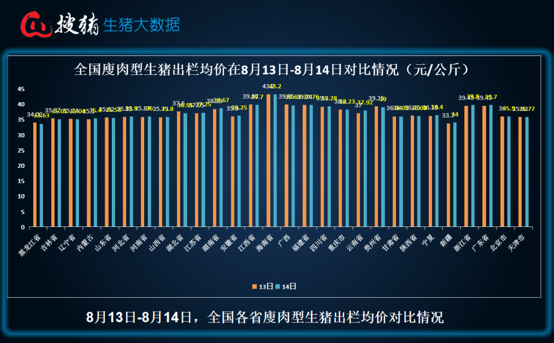 今日生猪最新价格及市场走势分析与预测
