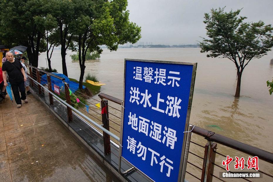 南京洪水最新动态及小巷美食揭秘