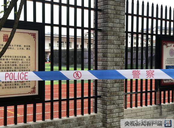 心灵与自然的美妙遨游,失踪事件的最新进展