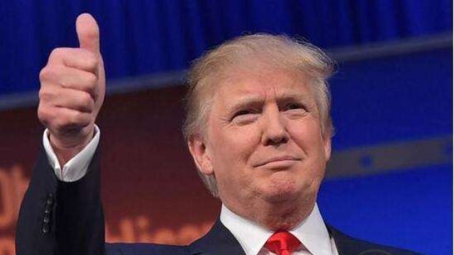 特朗普新证据揭秘,一段日常故事的温馨与趣味时刻