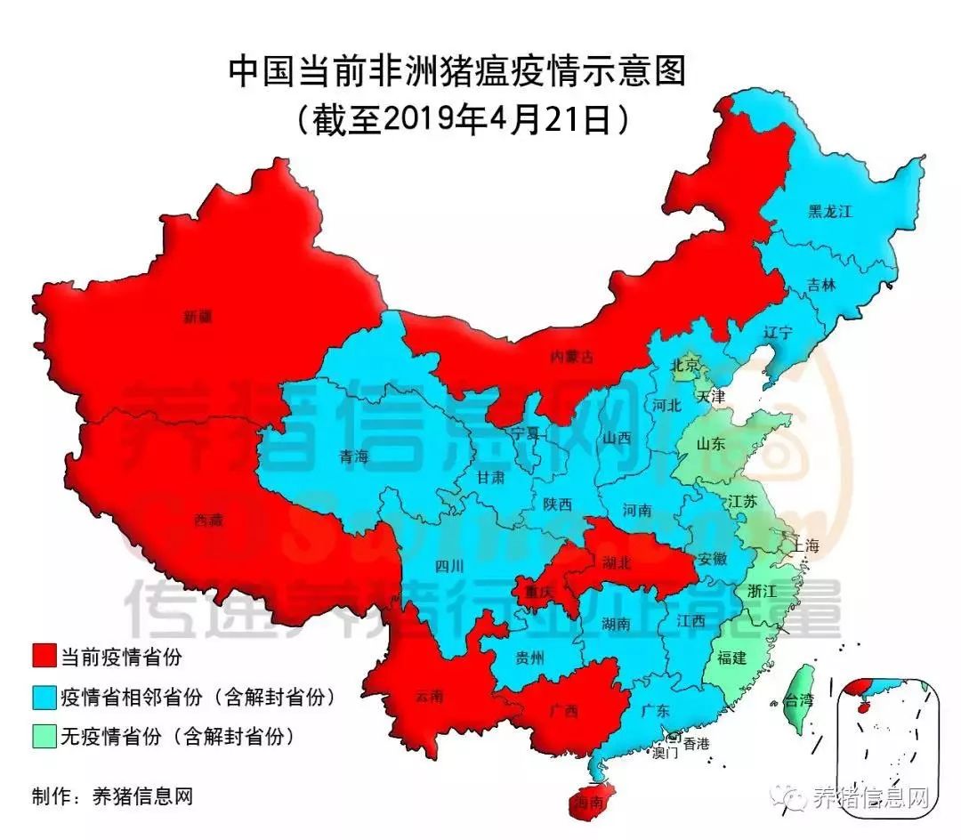 非洲猪瘟疫情最新动态与小巷深处的特色美食探秘