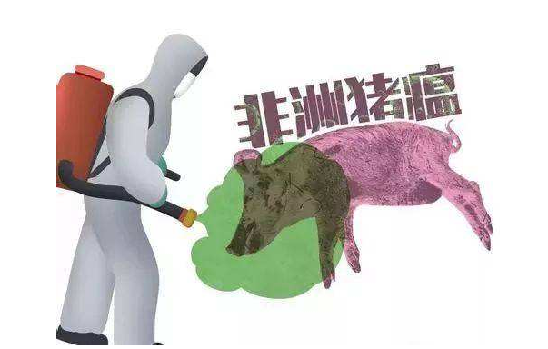 非洲猪瘟疫情最新动态与小巷深处的特色美食探秘