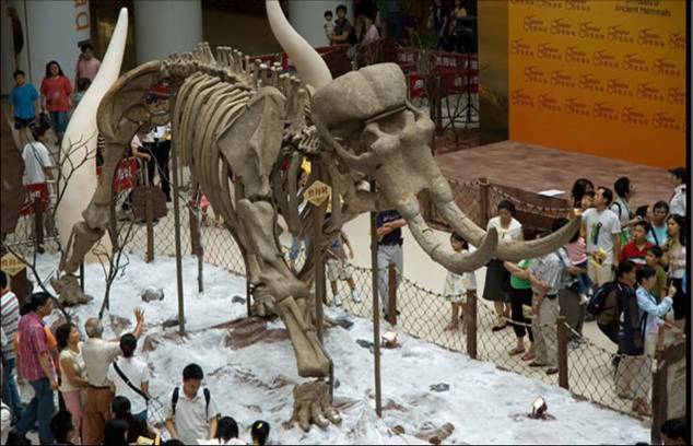 恐龙最新动态揭秘,探索未知的生物世界