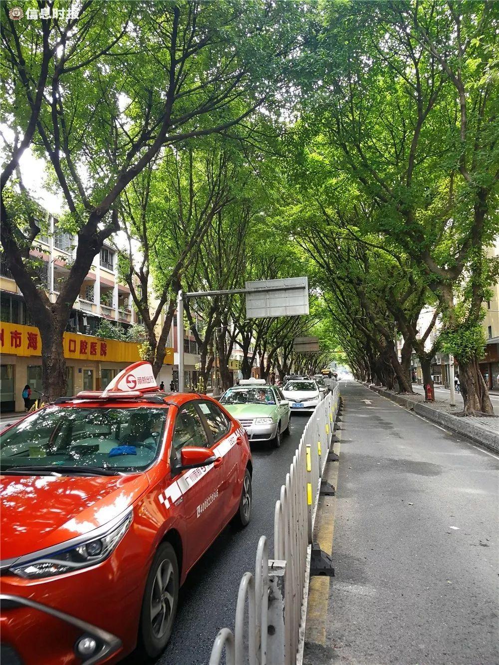 桥堵最新动态,科技重塑桥梁,智能监控引领未来进展