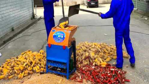 玉米脱粒机新品大揭秘,匠心之作,汇聚小巷深处的创新力量