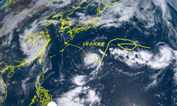 日本台风奥鹿最新动态,风雨中的温馨日常