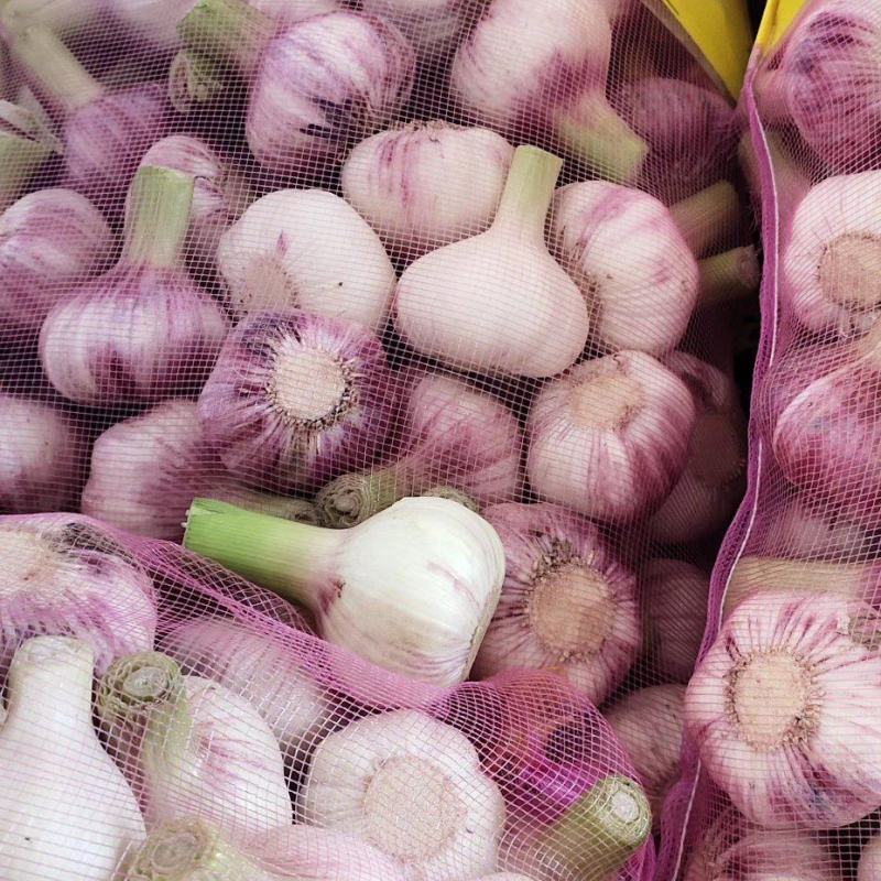 最新大蒜鲜蒜价格及市场分析获取指南