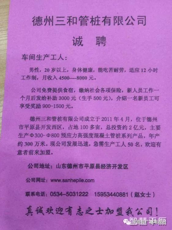 平原最新招聘信息揭秘,职位空缺一网打尽!