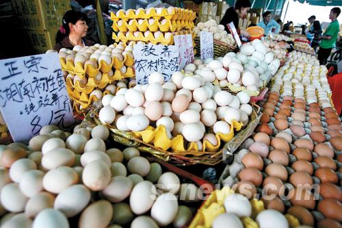 鸡蛋期货行情解析,如何捕捉市场机遇