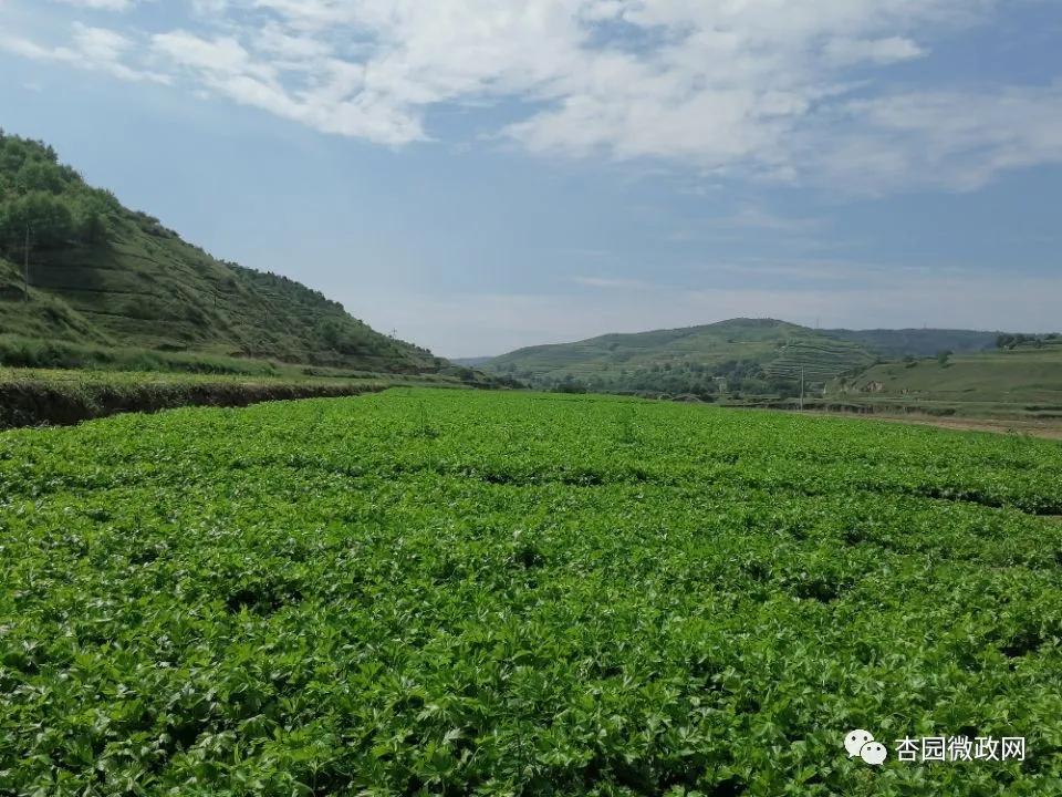 探索自然美景之旅,揭秘螃蟹行情背后的故事,寻找内心的平静