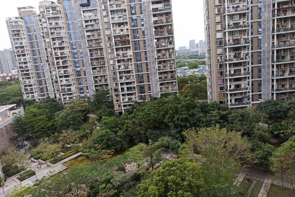 花都最新房价揭秘,巷弄深处的惊喜房源