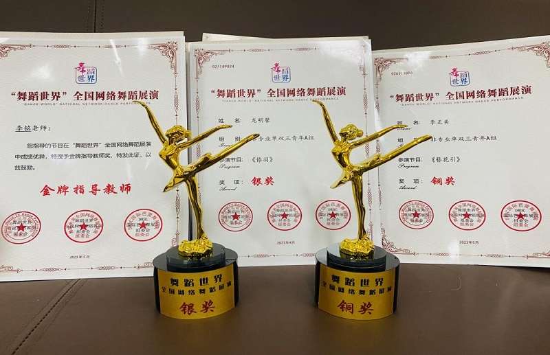 舞蹈比赛的鼓舞之旅,自然美景下的荣誉与成就展演