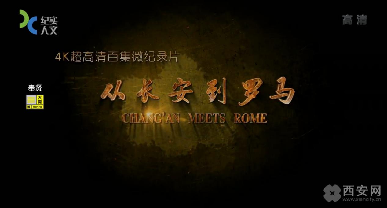 上海电视台新闻综合频道,聚焦时事,全方位传递综合信息