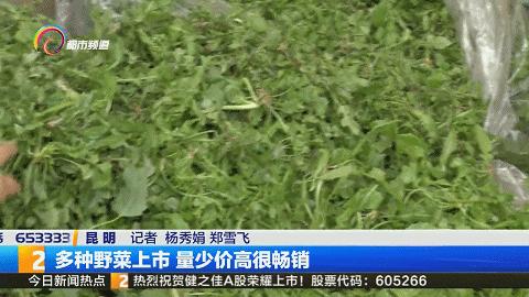 新枸杞上市倒计时，健康美味即将来临，你准备好了吗？