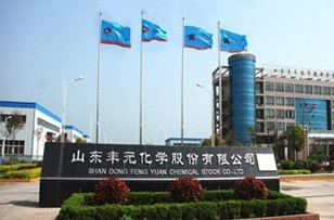 山东丰元上市,开启自然美景探索之旅