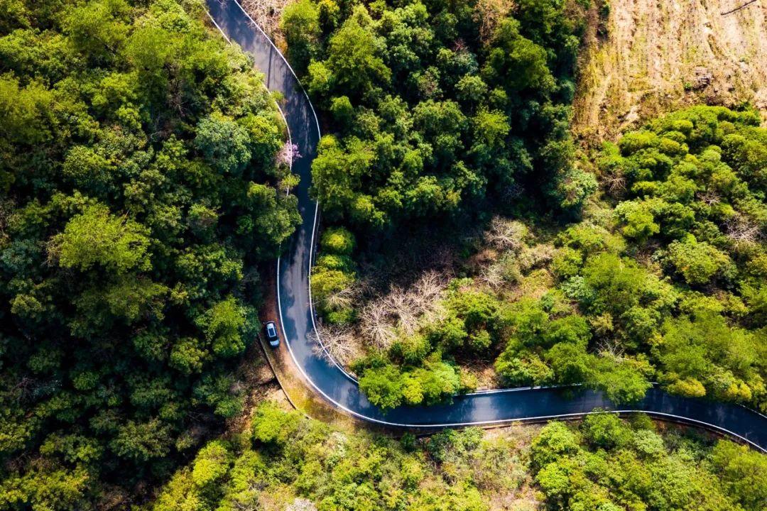 龙州公路新篇章，友情与陪伴的温馨旅程规划图揭秘