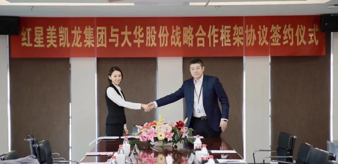 大华股份股票走势,时代的见证与行业领航者的表现分析