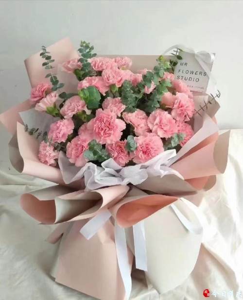 小巷深处的康乃馨鲜花价格与芬芳秘境探索