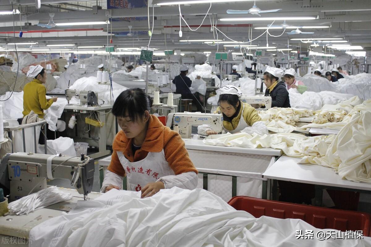 皮棉最新价格动态,学习、自信与成就的力量探索