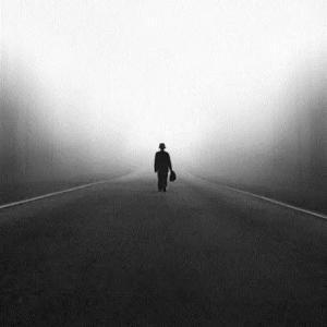 明星与咖啡,背后的故事与独特品味探索🎥✨