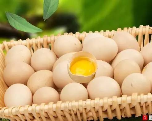 鸡蛋行情速览,最新新鲜资讯一网打尽