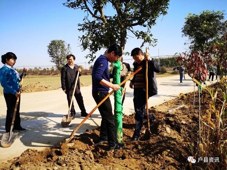 范九利最新动态揭秘,城市中的温暖瞬间与日常故事