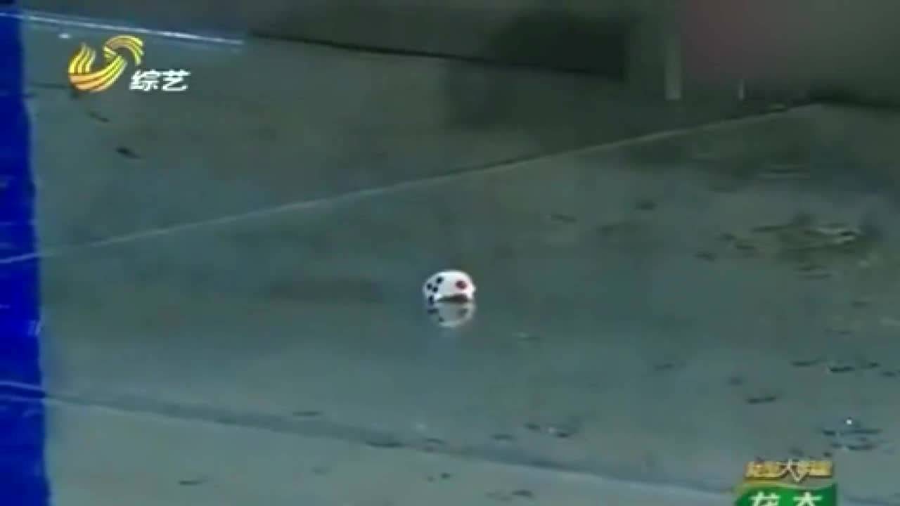 最新弹弓高手技巧展示——科技魅力重塑弹弓界,高手技巧一览无余